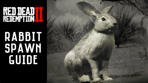 rabbit rdr2|rdr2 best place for rabbits.